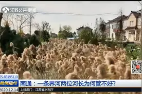 南通：一条界河两位河长为何管不好？视频封面