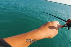 海钓，假饵仿前打钓法，找对地方，石斑鱼拉不停视频封面