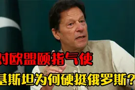 面对欧盟的颐指气使，为何巴基斯坦如此硬气？硬刚力挺俄罗斯？视频封面