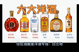 洋酒是什么酒，酒桌谈资：6大洋酒一次给你讲清楚视频封面