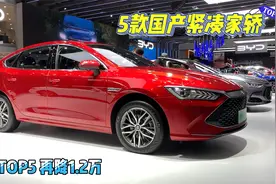 国产紧凑家轿先看这5款，上月销量前5，自降1.2万合资车没退路了视频封面