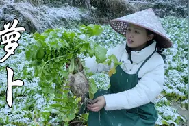 2022年第一场雪，摘个萝卜做一顿雪天美食，热腾腾的真香视频封面