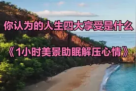 你认为的人生四大享受是什么《1小时美景助眠解压心情》视频封面
