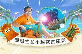 潜入海底看动物，模型带你了解珊瑚怎么长成？视频封面