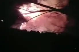 阵风超8级！北京延庆突发森林火灾，目前火势可控视频封面