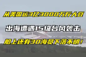 从美国运3亿3000万斤大豆，遭15级台风袭击，船上30海员下落不明视频封面