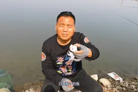 野钓 原来白菜帮子，辅助钓鱼这么厉害，涨知识了！视频封面