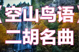 国乐经典《空山鸟语》二胡大师演奏，经典名曲，太精彩了。视频封面