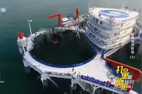 “海洋牧场”的养殖方式在我国正逐渐形成趋势|创新进行时视频封面
