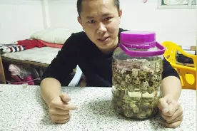 盐水加白酒腌制鹌鹑蛋，比鸭蛋好吃十倍，就是个头太小了视频封面