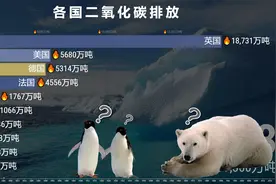 1840-2019世界各国二氧化碳排放Top10，网友：新能源才是出路！视频封面
