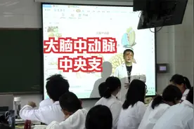 大脑中动脉中央支视频封面