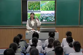 高中语文 《荷花淀》 作者：周玉琴（宁津县第一中学）视频封面