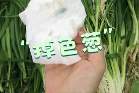 杭州惊现“掉色葱”？记者调查！检测结果出来了…视频封面