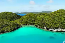 【古文山水】新竹高于旧竹枝，全凭老干为扶持视频封面