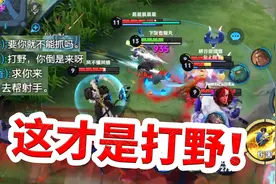 当你打野被队友指指点点，王者30星就很厉害？不要教我做事！视频封面