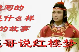 【红楼梦4】明写的故事和隐写的故事视频封面