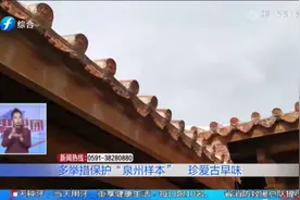 数字平台结合传统文化！多举措保护历史文脉，古城散发现代气息视频封面