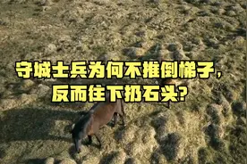 守城士兵为何不推倒梯子，反而往下扔石头？视频封面