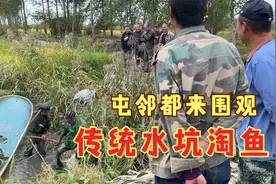 农民王小：东北最传统打鱼方法，水坑淘野生鱼，屯里爷们都来围观视频封面