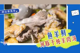潮汕章鱼哥--这一锅河豚干炖羊肉汤，鲜香美味是你想象不到的！视频封面