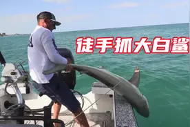 美国渔民简简单单就抓了条鲨鱼，还顺带做顿鲨鱼自助餐尝尝视频封面