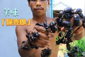 小伙吃屎壳郎一绝，吃的嘎嘎脆视频封面
