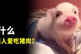 为什么中国人这么喜欢吃猪肉？不仅因为它好吃又好养视频封面