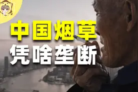 央企大哥+纳税大户，中国烟草为何非国家垄断不可【狮子座财经】视频封面