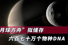 “月球方舟”将保存670万个物种DNA，确保在地球爆发灾难后幸存视频封面