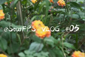 CF分部微纪录片S05：极品展现极品睡颜 武器大师为吃汉堡现场RAP视频封面