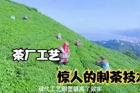 土耳其 他横跨欧亚大陆，工业基础雄厚，发展速度可以与中国比肩视频封面