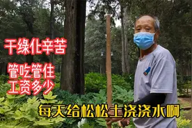 保定大爷在北京皇家园林当绿化工，管吃管住工资拿多少？活不轻松视频封面