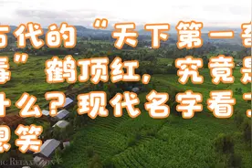 古代的“天下第一奇毒”鹤顶红，究竟是什么？现代名字看了想笑视频封面