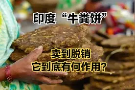 印度的“牛粪饼”，经常卖到脱销，它到底有什么作用？视频封面
