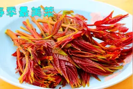 做香椿到底要不要焯水？很多人都没搞明白，难怪总感觉差点意思视频封面