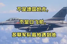 不是德国坦克，不是日飞机，苏联军队最怕遇到他视频封面