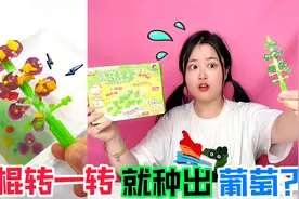 自制葡萄串！棍子在水中转一转，就能DIY青提树，真能成功吗？视频封面