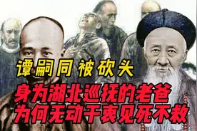 谭嗣同被砍头，为何身为湖北巡抚的老爸，无动于衷见死不救？视频封面
