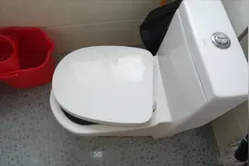 马桶坐便盖板坐久跑偏松动歪了，不用换马桶一把螺丝刀就调整好视频封面