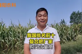 我国排名前10复合肥企业，买这10个厂家的复合肥，含量足不会吃亏视频封面