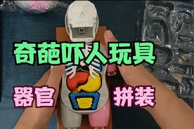 奇葩吓人玩具：人体器官拼装玩具，玩到后面吓我魂飞魄散！视频封面