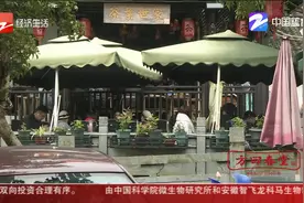 西湖龙井新茶上市 尝新价格50-100元一杯视频封面