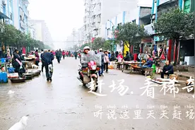 重庆乡镇有个天天赶场的集市，什么稀奇古怪都有卖，一起来看看！视频封面