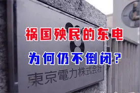 祸国殃民的东电，因核泄漏牵出日本的黑暗与腐朽，为何仍不倒闭？视频封面