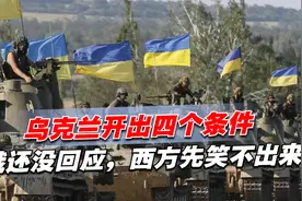 若要终结冲突，乌克兰开出四个条件，俄还没回应，西方先笑不出来视频封面