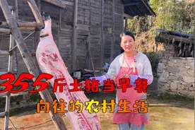 贵州农村：宰355斤大土猪当早餐，简单又豪横，城市人向往的生活视频封面
