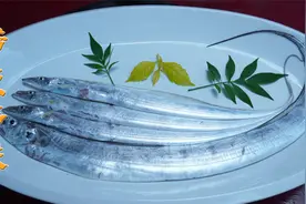 带鱼中的爱马仕黄旗带鱼，鱼身闪闪发亮，刺身肉质极其鲜美视频封面