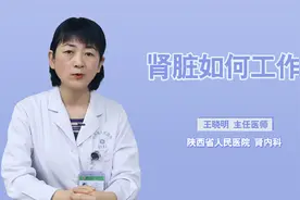 神奇的过滤器！肾脏究竟是如何工作的？你知道吗？视频封面