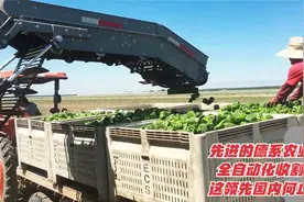 先进的德系农业机械，全自动化收割一体，这领先国内何止20年视频封面